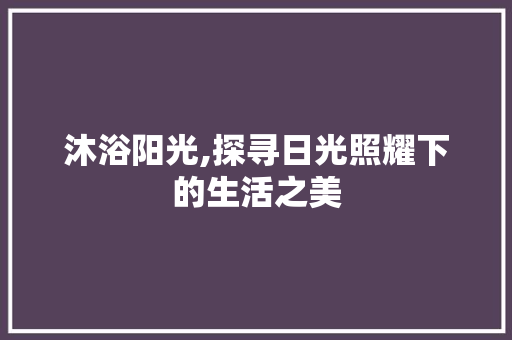 沐浴阳光,探寻日光照耀下的生活之美