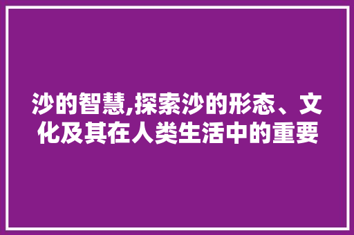 沙的智慧,探索沙的形态、文化及其在人类生活中的重要作用