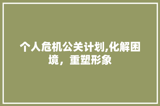 个人危机公关计划,化解困境，重塑形象