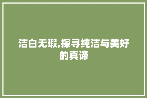 洁白无瑕,探寻纯洁与美好的真谛 汉字拼音