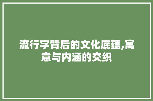 流行字背后的文化底蕴,寓意与内涵的交织