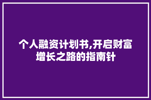 个人融资计划书,开启财富增长之路的指南针
