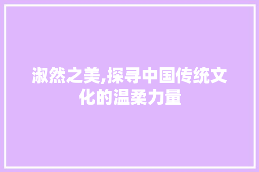 淑然之美,探寻中国传统文化的温柔力量