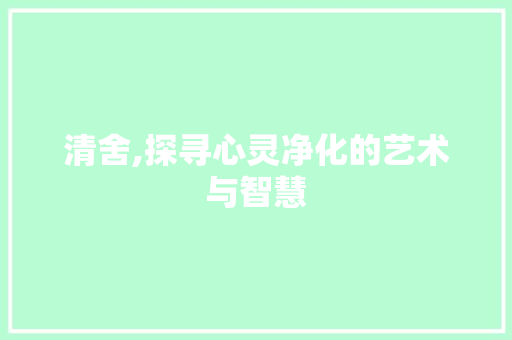 清舍,探寻心灵净化的艺术与智慧