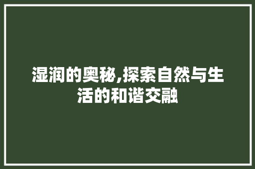 湿润的奥秘,探索自然与生活的和谐交融
