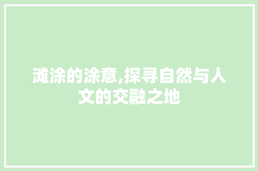 滩涂的涂意,探寻自然与人文的交融之地
