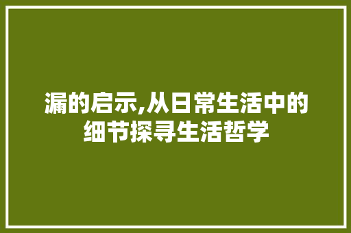 漏的启示,从日常生活中的细节探寻生活哲学
