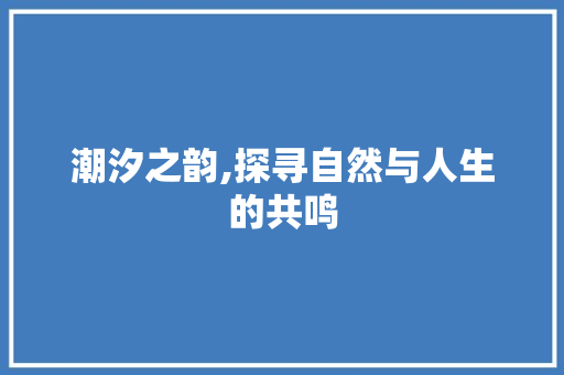 潮汐之韵,探寻自然与人生的共鸣
