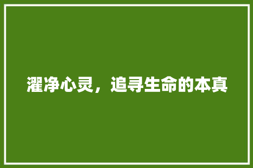 濯净心灵，追寻生命的本真