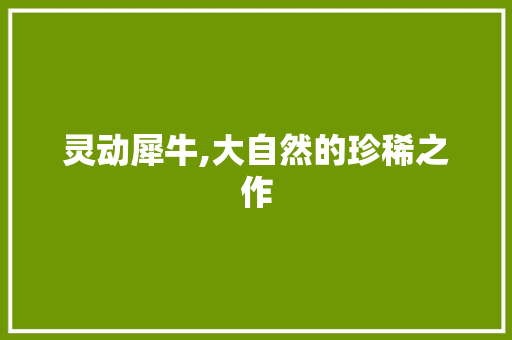 灵动犀牛,大自然的珍稀之作