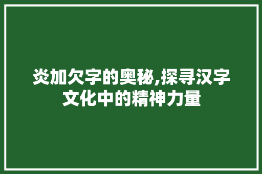 炎加欠字的奥秘,探寻汉字文化中的精神力量