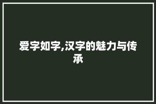 爱字如字,汉字的魅力与传承