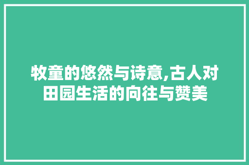 牧童的悠然与诗意,古人对田园生活的向往与赞美