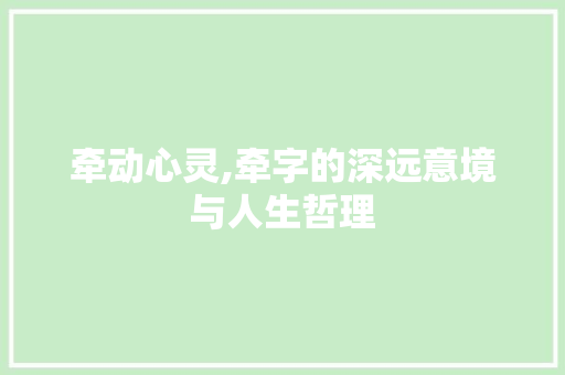 牵动心灵,牵字的深远意境与人生哲理