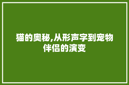 猫的奥秘,从形声字到宠物伴侣的演变