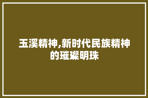 玉溪精神,新时代民族精神的璀璨明珠 古代典籍