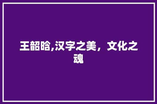 王韶晗,汉字之美，文化之魂