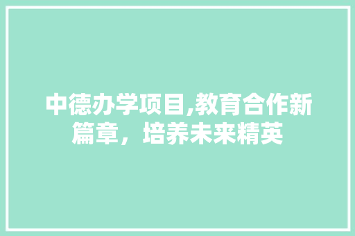 中德办学项目,教育合作新篇章，培养未来精英