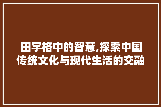 田字格中的智慧,探索中国传统文化与现代生活的交融
