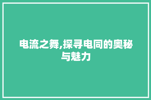 电流之舞,探寻电同的奥秘与魅力