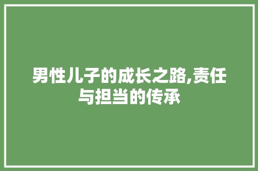 男性儿子的成长之路,责任与担当的传承