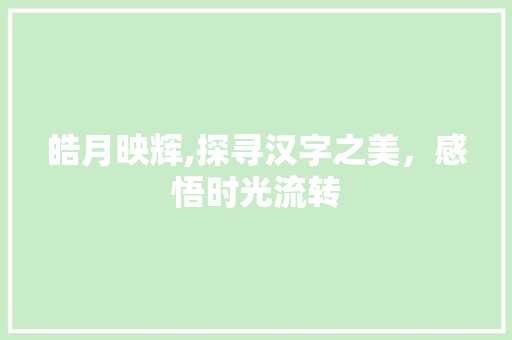 皓月映辉,探寻汉字之美，感悟时光流转