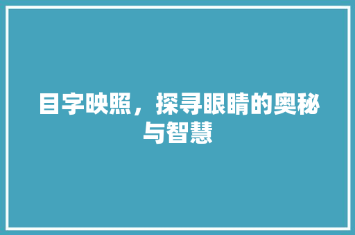 目字映照，探寻眼睛的奥秘与智慧