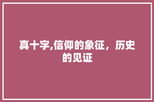 真十字,信仰的象征，历史的见证