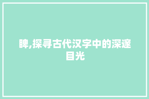 睥,探寻古代汉字中的深邃目光