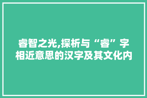 睿智之光,探析与“睿”字相近意思的汉字及其文化内涵