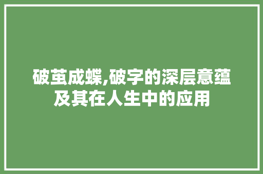 破茧成蝶,破字的深层意蕴及其在人生中的应用