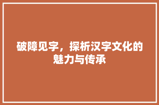 破障见字，探析汉字文化的魅力与传承