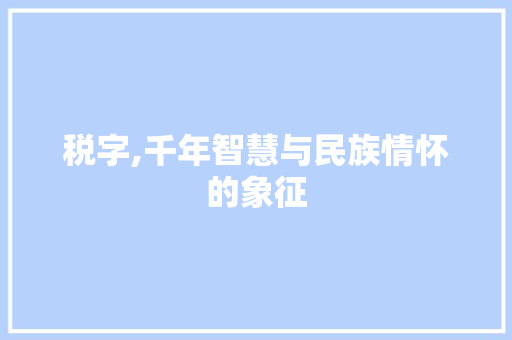 税字,千年智慧与民族情怀的象征