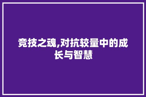 竞技之魂,对抗较量中的成长与智慧