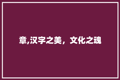 章,汉字之美，文化之魂