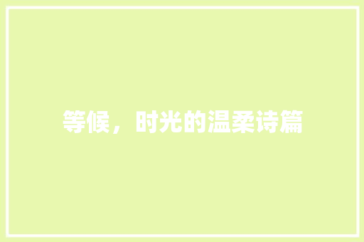 等候，时光的温柔诗篇