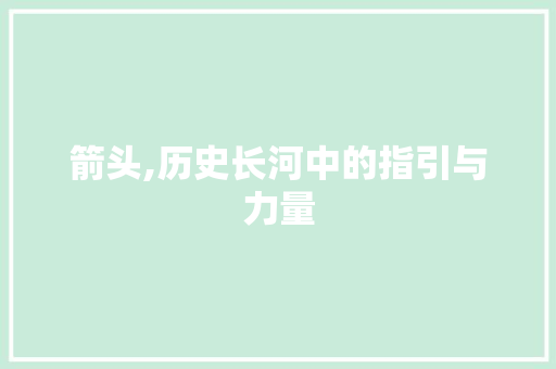 箭头,历史长河中的指引与力量