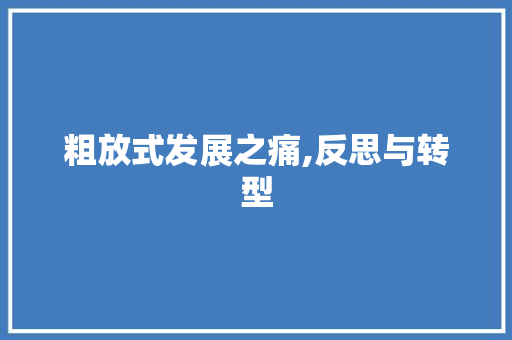 粗放式发展之痛,反思与转型