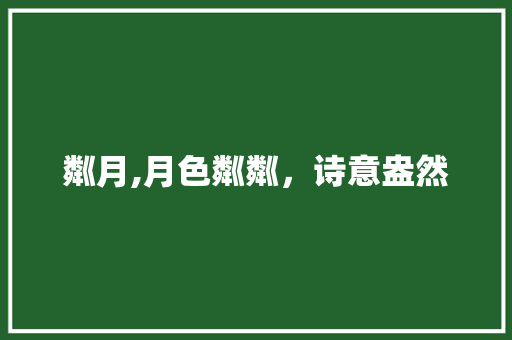粼月,月色粼粼，诗意盎然