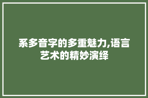 系多音字的多重魅力,语言艺术的精妙演绎