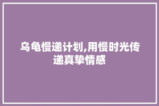 乌龟慢递计划,用慢时光传递真挚情感
