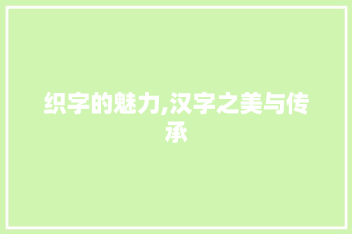 织字的魅力,汉字之美与传承