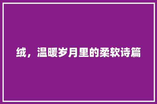 绒，温暖岁月里的柔软诗篇 近义词汇