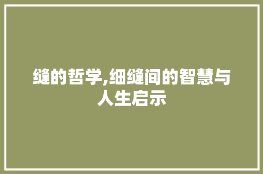 缝的哲学,细缝间的智慧与人生启示