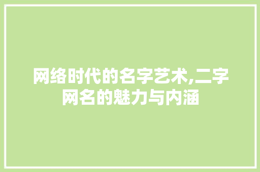 网络时代的名字艺术,二字网名的魅力与内涵