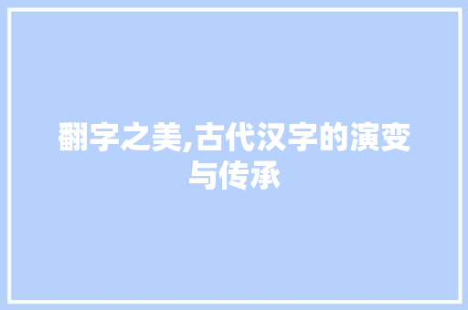 翻字之美,古代汉字的演变与传承