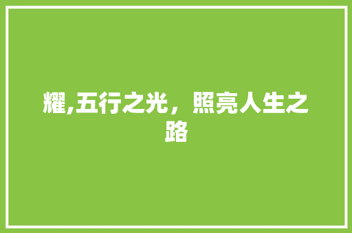 耀,五行之光，照亮人生之路