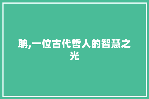 聃,一位古代哲人的智慧之光