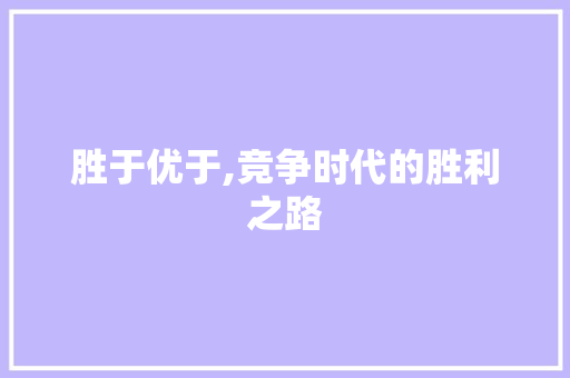 胜于优于,竞争时代的胜利之路