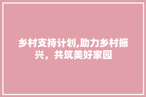 乡村支持计划,助力乡村振兴，共筑美好家园